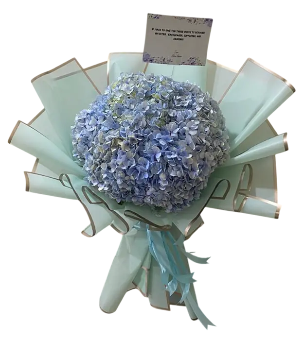 celine-fresh-flower-bouquet-7-blue-hydrangea-athaya-florist-jakarta