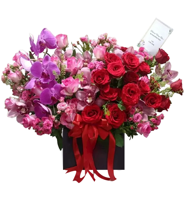 lola-flower-box-red-pink-roses-orchid-1-stem-cymbidium-baby-rose-athaya-florist