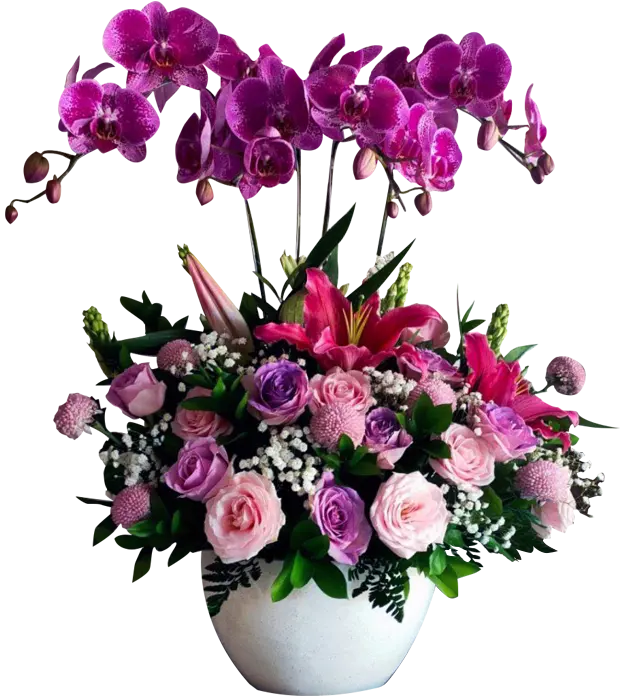 maya-luxury-table-flower-arrangement-purple-roses-4-orchids-pompom-baby-breath-casablanca-snapdragon-athaya-florist