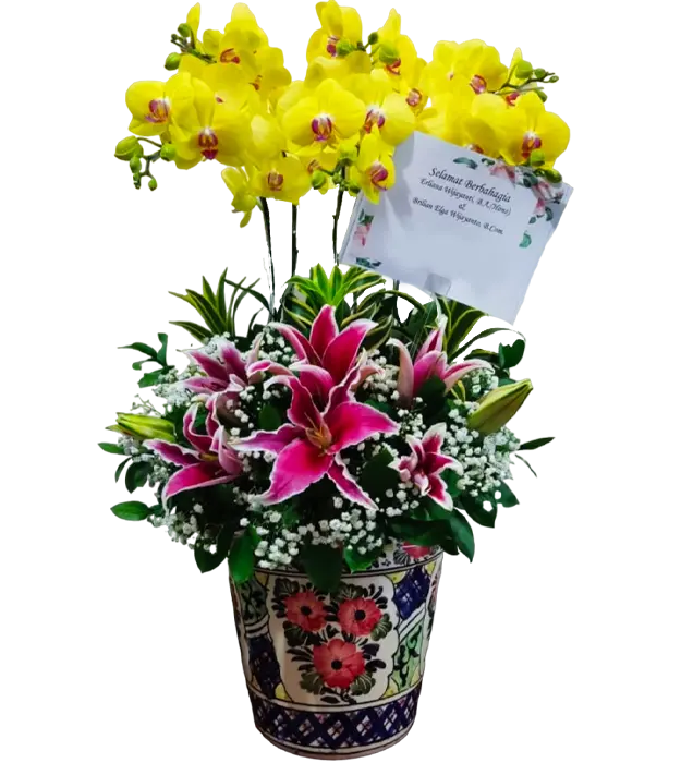nirvana-orchids-in-a-ceramic-vase-5-stem-yellow-lily-casablanca-baby-breath-athaya-florist