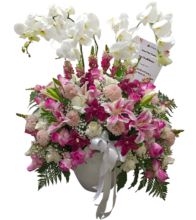 noel-fresh-flower-arrangement-roses-orchid-gompie-casablanca-baby-breath-athaya-florist